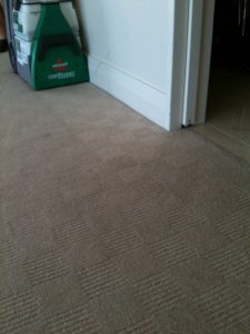 Professional Carpet Cleaning Auckland